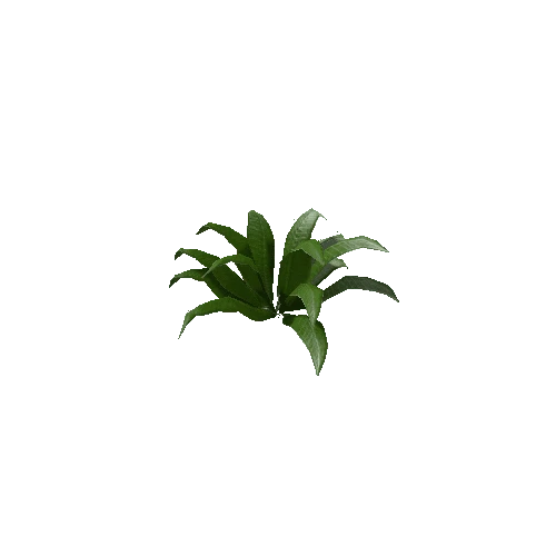 Tropical Plant 2 (Type 3)